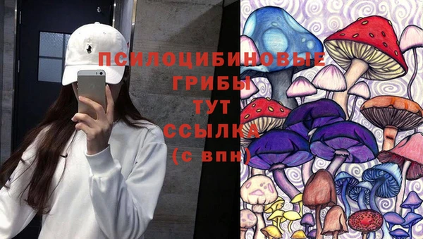 соль ск Краснотурьинск