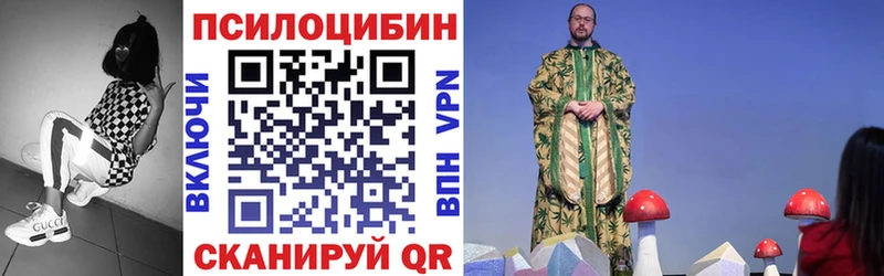 Галлюциногенные грибы мицелий  Купить где  Буинск 